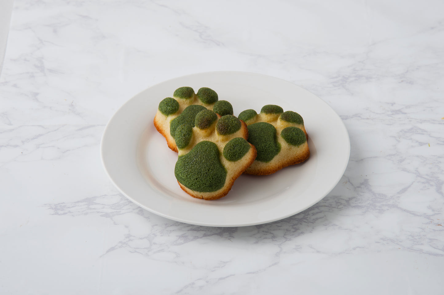 焼菓子 肉球フィナンシェ（抹茶）1BL 50個入